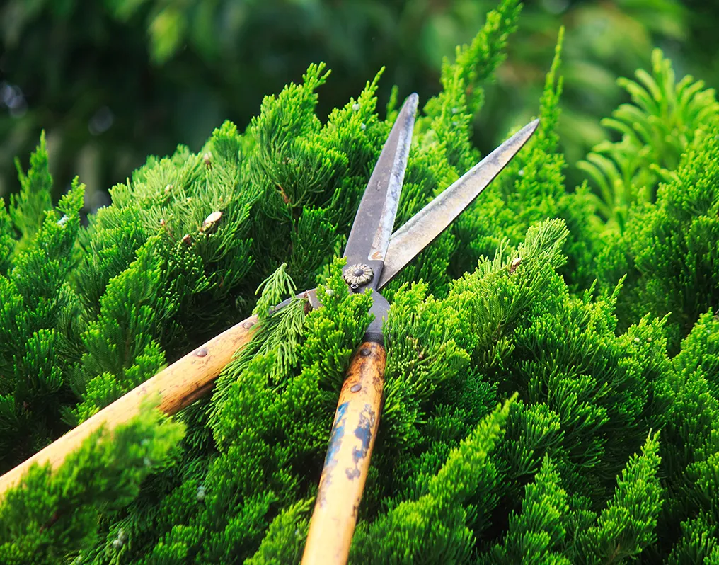 豊富な経験を活かし幅広いニーズに対応