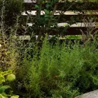 プライバシーポリシー